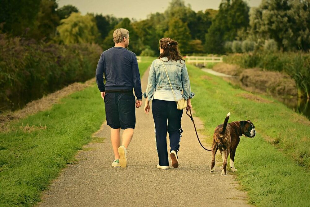 Dating mit Hund und Tierliebe in Österreich