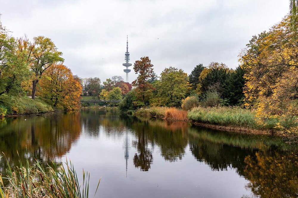 Tierfreundliche Singles aus Hamburg