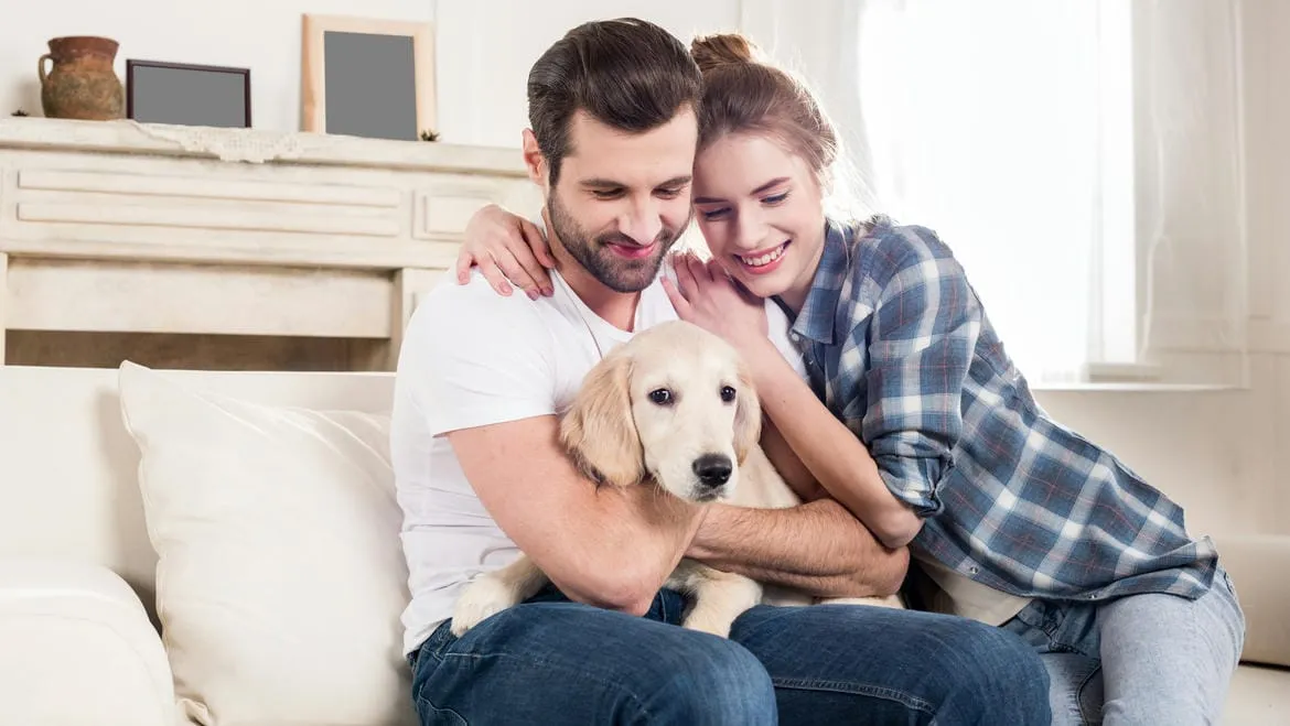Tierisch verliebt – Singles mit Hund kennenlernen