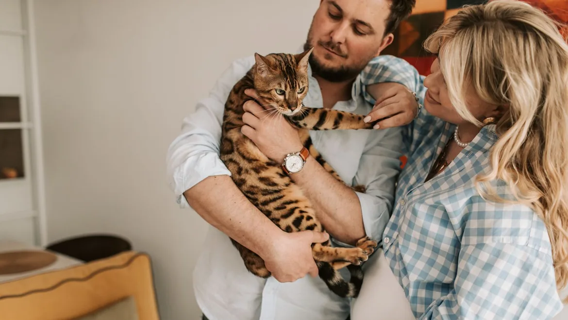 Tierisch verliebt – Singles mit Katzenliebe kennenlernen