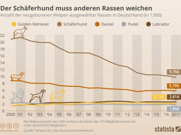 Anzahl der neugeborenen Welpen