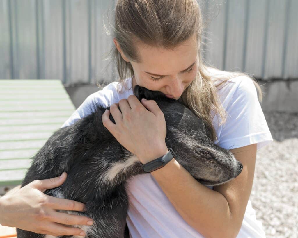 Tier adoptieren