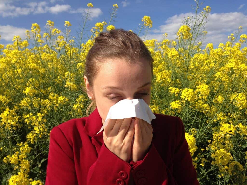 Allergiker