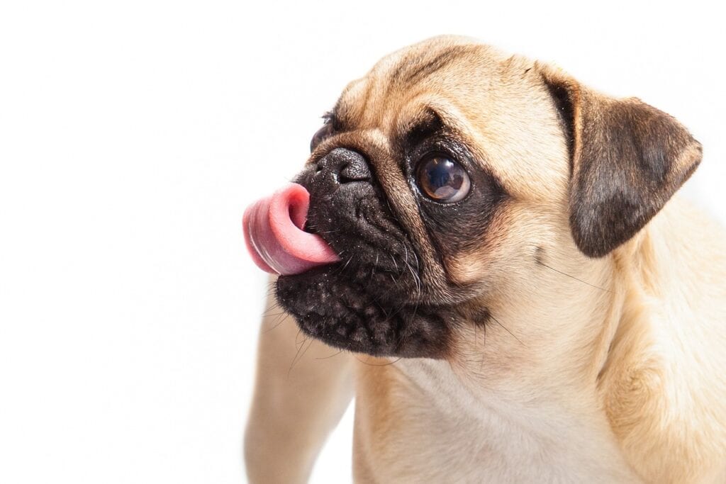 mops