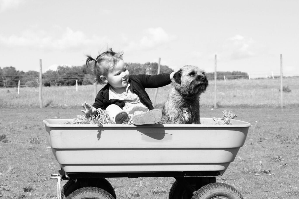 Kleinkind sitzt mit einem Hund in einem Bollerwagen